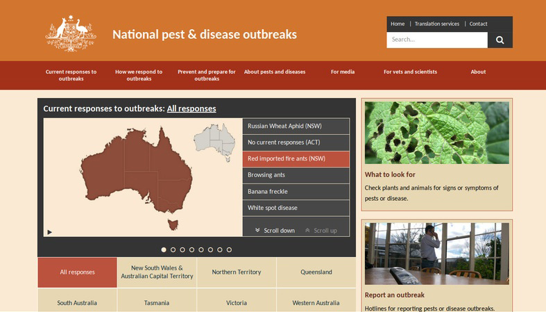 Outbreak Website